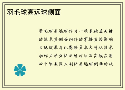 羽毛球高远球侧面